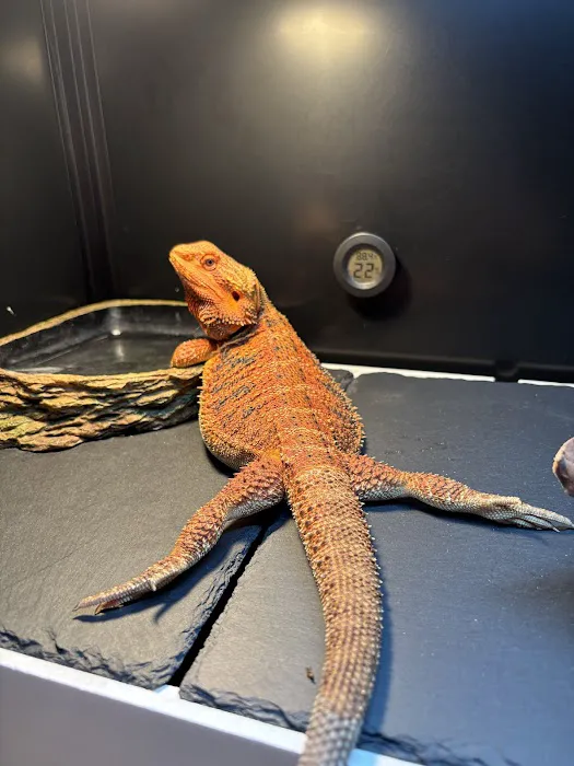 Pet's General Store Picture 1