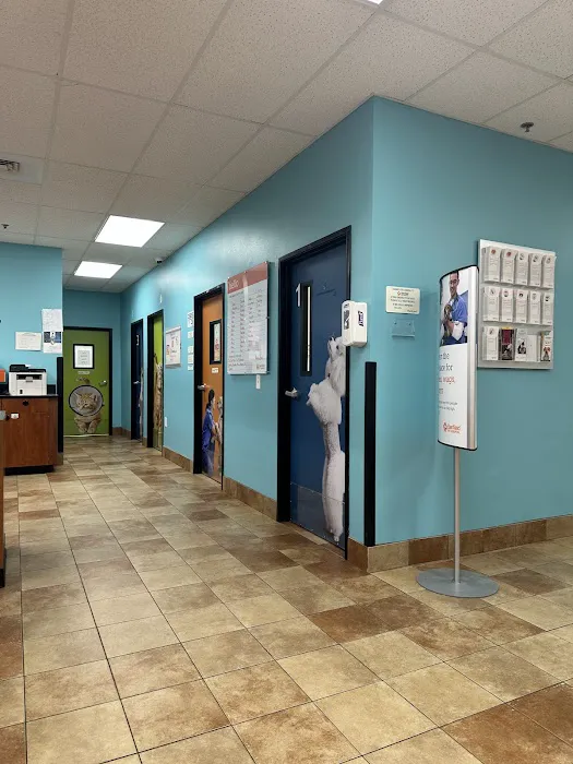 Banfield Pet Hospital Picture 3
