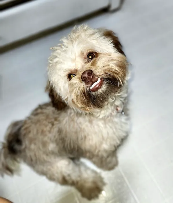 Banfield Pet Hospital Picture 6