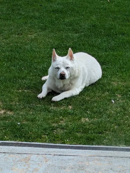 Mercy Animal Hospital Picture 1