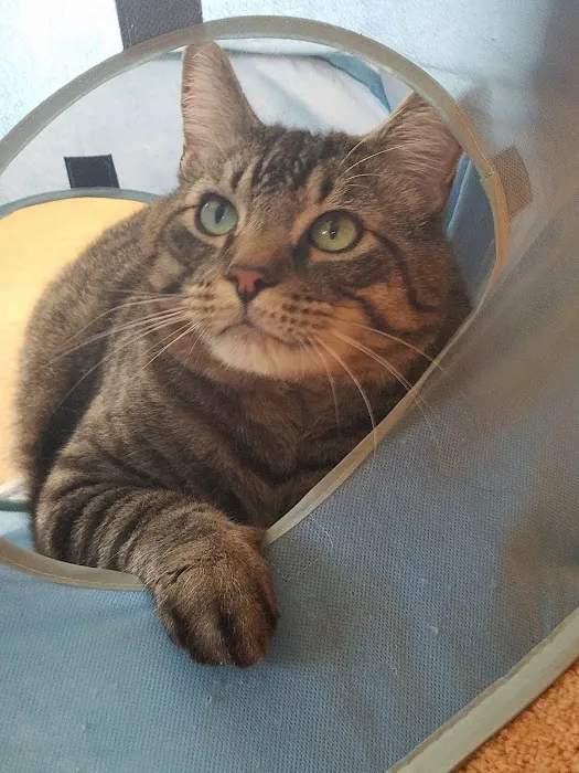 Mercy Animal Hospital Picture 5
