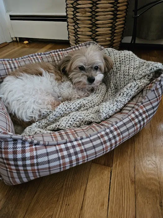 Mercy Animal Hospital Picture 10