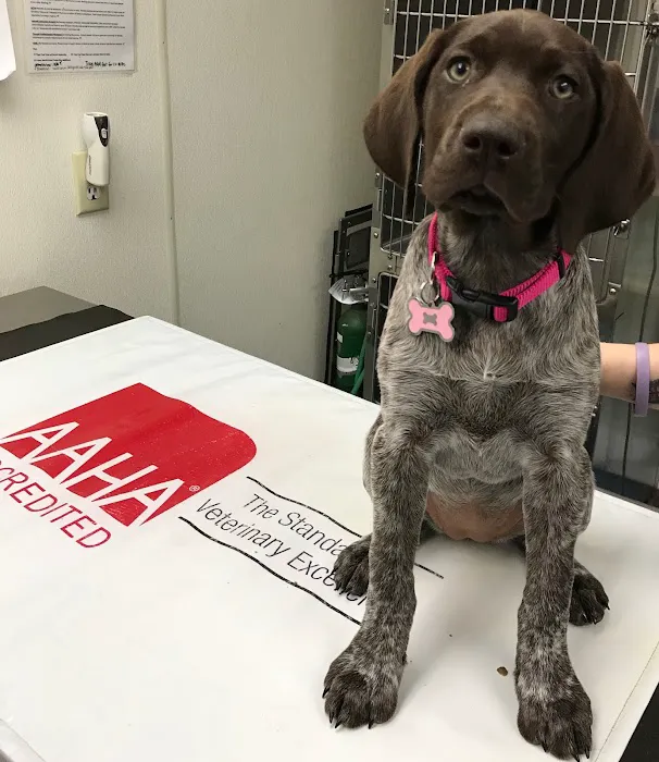 Oaklawn Animal Hospital Picture 3