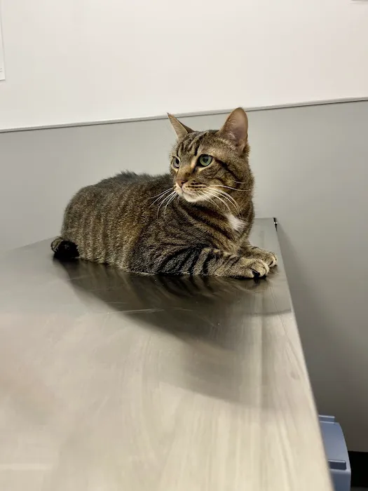 Warwick PetMedic Urgent Care Vet Clinic Picture 5