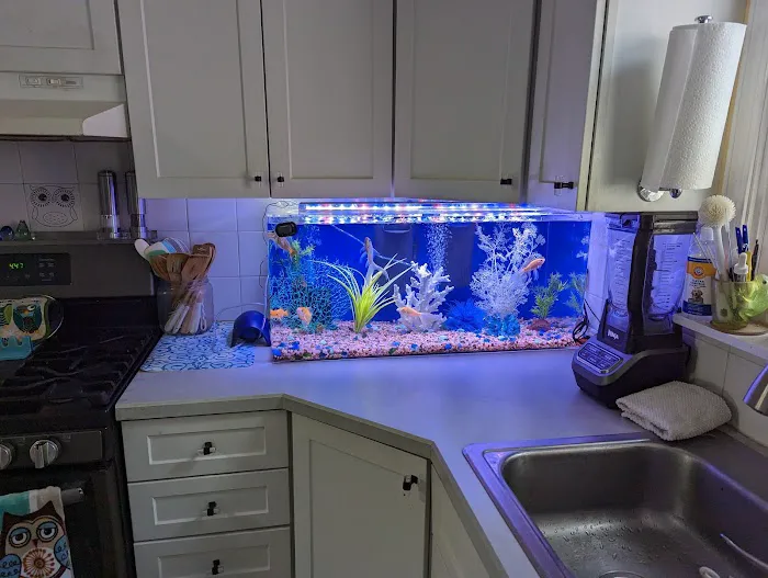 Alpha Aquatics NEO Picture 1