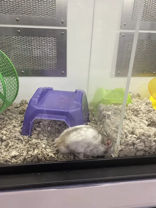 Pet Supplies Plus Brunswick Picture 1