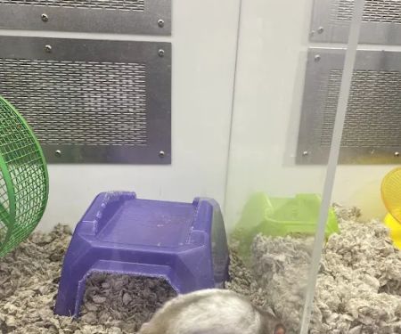 Pet Supplies Plus Brunswick