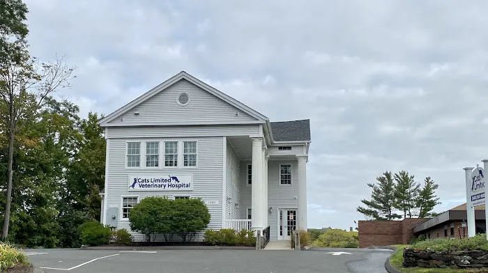 Cats Limited Veterinary Hospital Picture 5