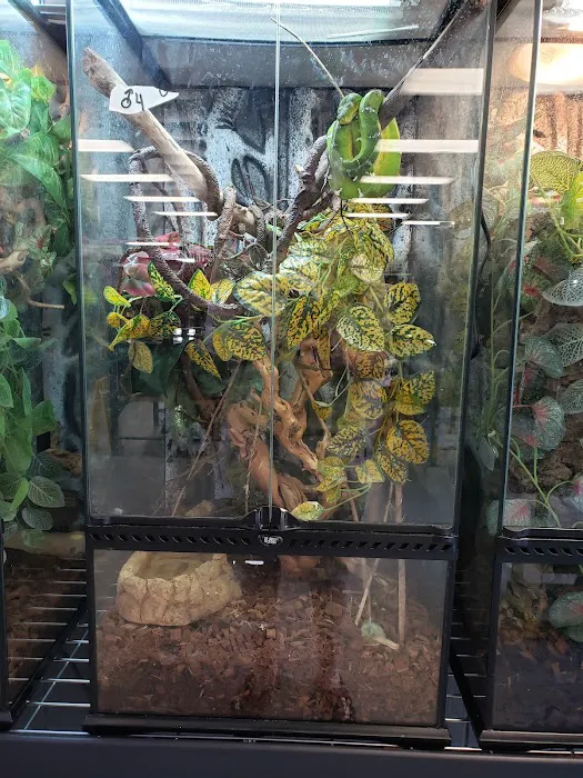 SATOO Reptiles and Aquatics Picture 5