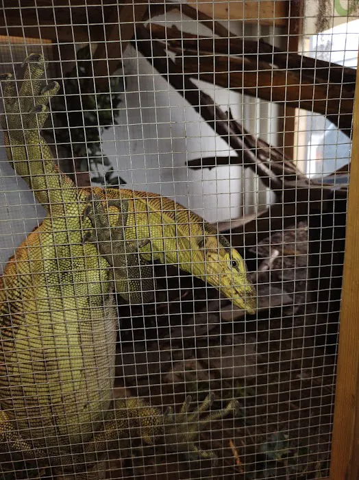 SATOO Reptiles and Aquatics Picture 7