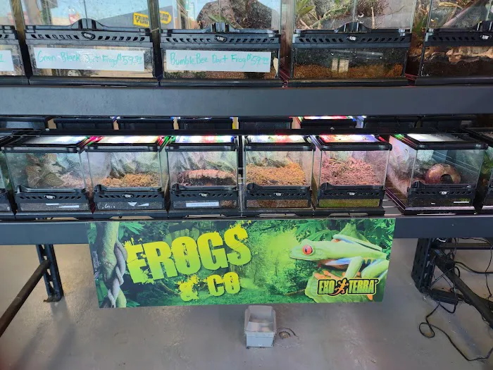 SATOO Reptiles and Aquatics Picture 9