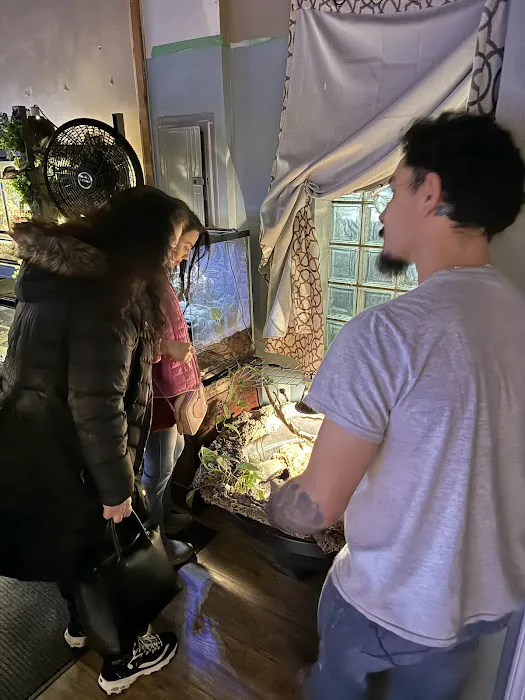 Cleveland's Aquatics Reptiles Exotics L.L.C. Picture 5