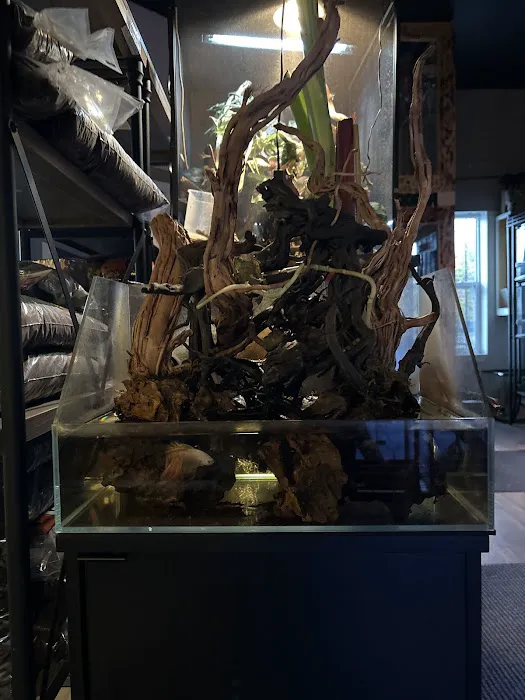 Cleveland's Aquatics Reptiles Exotics L.L.C. Picture 8