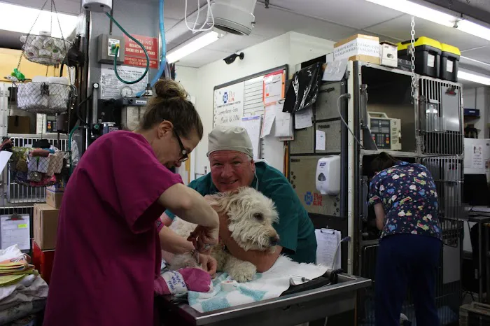 Connecticut Veterinary Center Picture 1