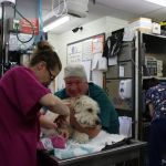 Connecticut Veterinary Center