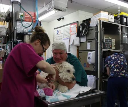 Connecticut Veterinary Center