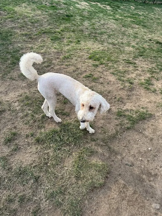Connecticut Veterinary Center Picture 3