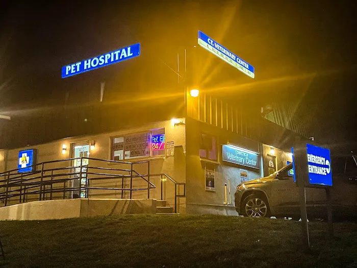 Connecticut Veterinary Center Picture 5