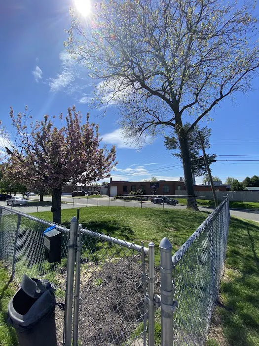 Connecticut Veterinary Center Picture 6