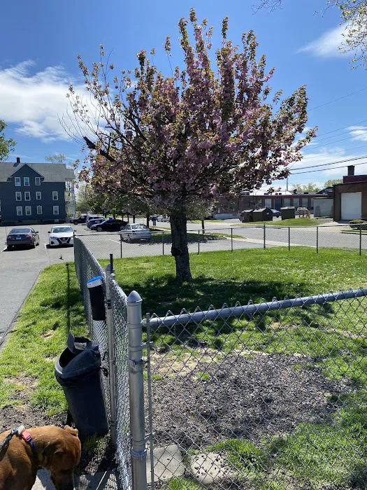 Connecticut Veterinary Center Picture 4