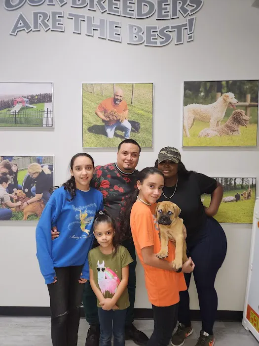 Petland Parma Picture 1