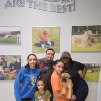 Petland Parma ico
