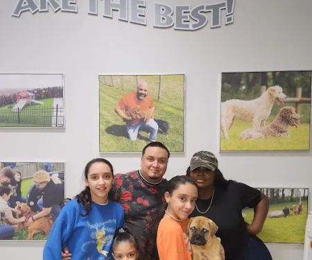 Petland Parma