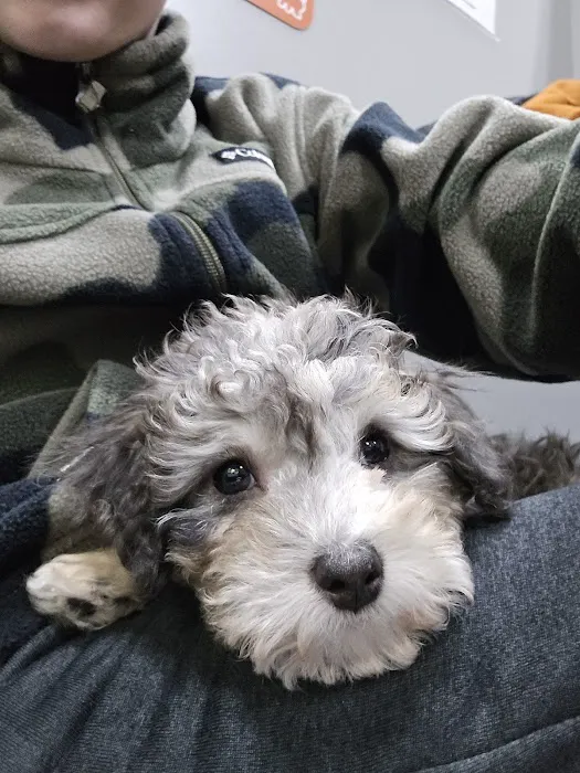 Petland Parma Picture 9