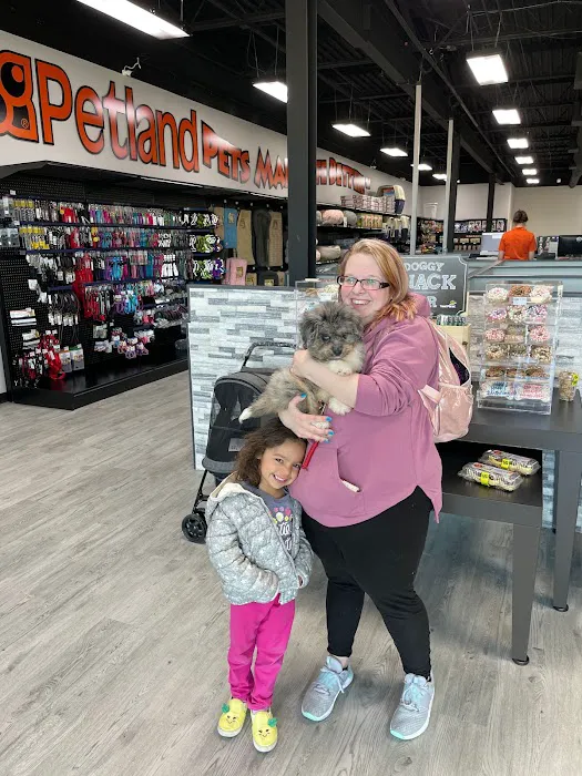 Petland Parma Picture 8