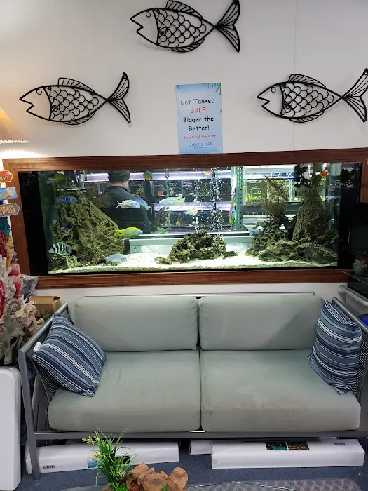 SomethingFishyInc.net Picture 3