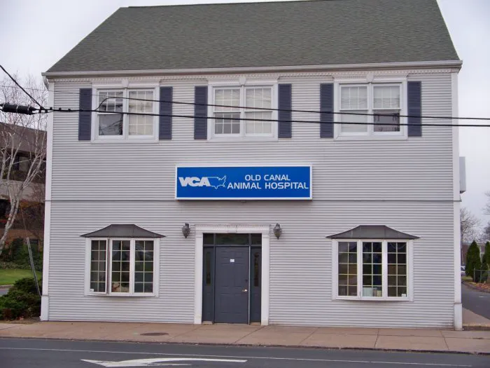 VCA Old Canal Animal Hospital Picture 7