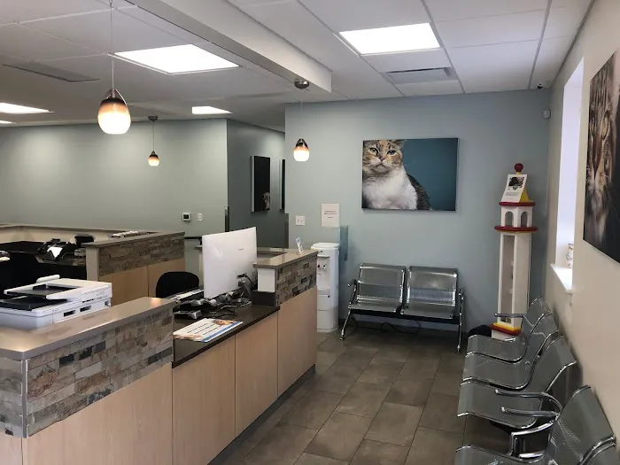 VCA Old Canal Animal Hospital Picture 9