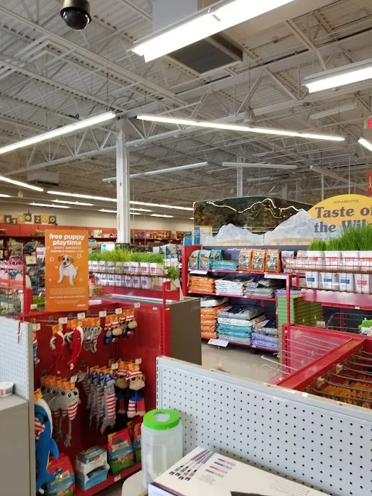 Petco Picture 5