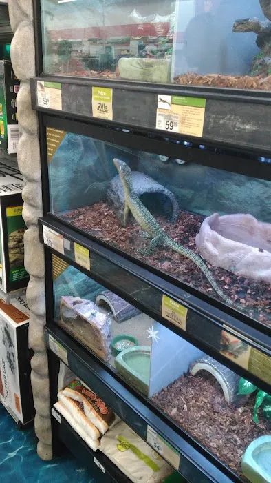Petco Picture 1