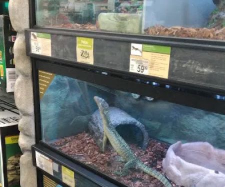Petco