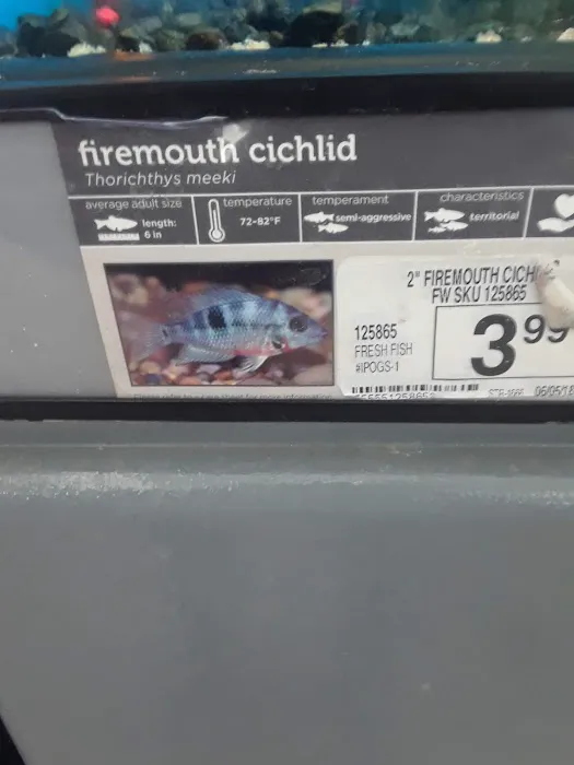 Petco Picture 7