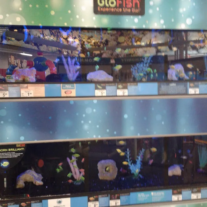 Petco Picture 9