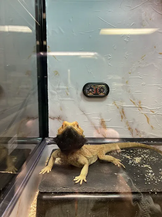 Reptile Encounter Picture 3