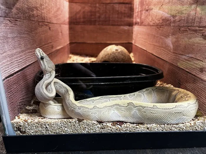 Reptile Encounter Picture 6