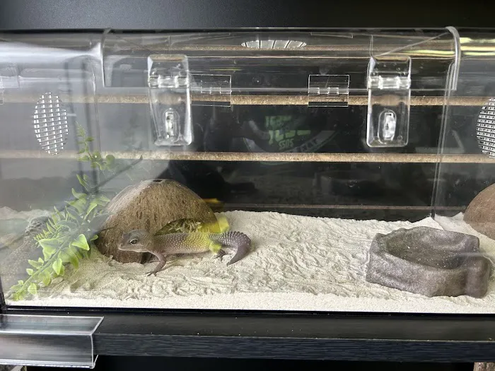 Reptile Encounter Picture 5