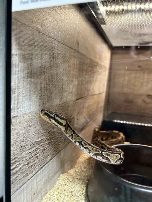 Reptile Encounter Picture 8