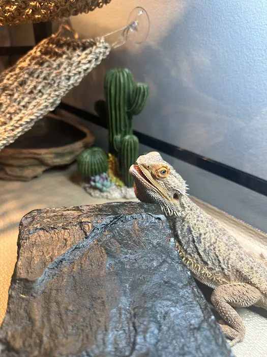 Reptile Encounter Picture 7