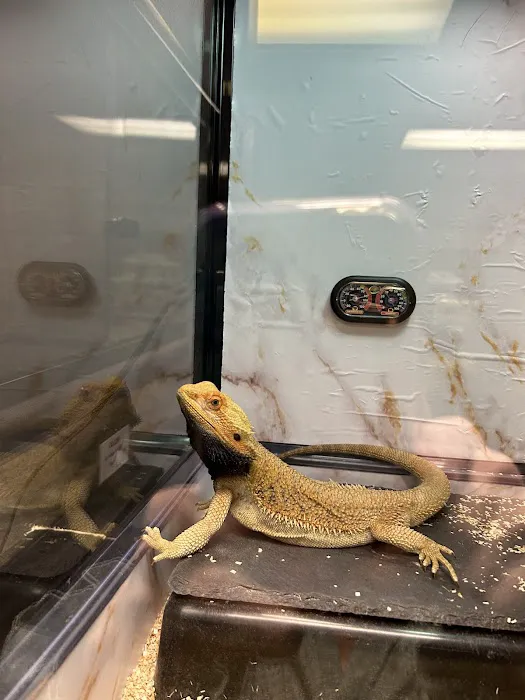 Reptile Encounter Picture 9
