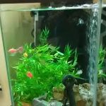 Southington Veterinary Associates