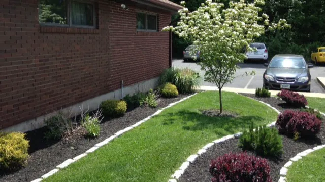Southington Veterinary Associates Picture 5