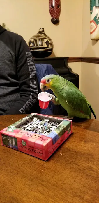 In A Pickle Parrot Shop Picture 2