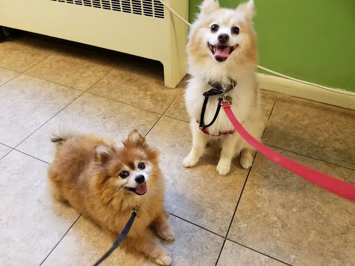 Woodstock Veterinary Clinic Picture 9