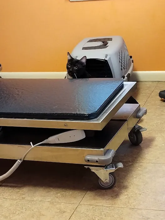 Woodstock Veterinary Clinic Picture 8