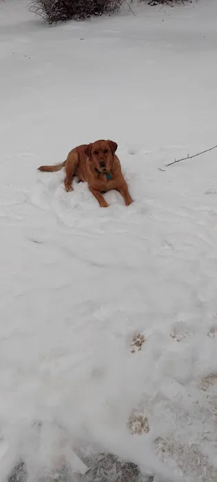 Hollywood Feed Picture 1