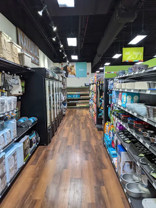 Hollywood Feed Picture 6